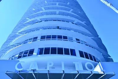 DSC_6938 (Large).JPG